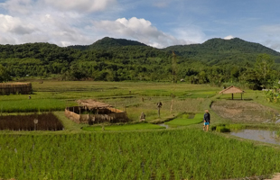 From Luang Prabang to Vietnam